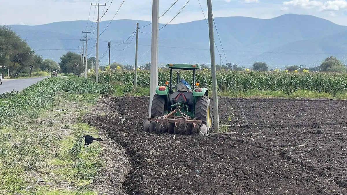 frenan a empresas chinas su entrada a campos de cultivo de Tehuacan